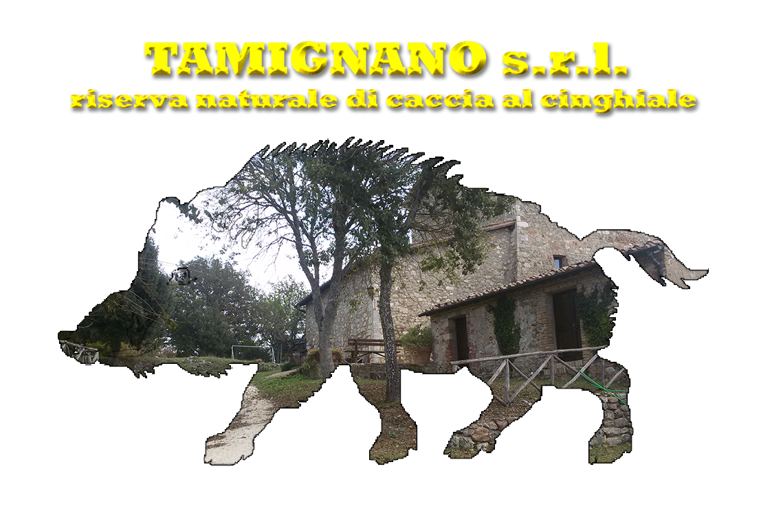 Tamignano S.r.l. - Riserva naturale di caccia al cinghiale